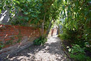Garden - click for photo gallery